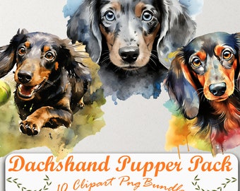 Explore nuestro atractivo conjunto de imágenes prediseñadas de Dachshund: 10 PNG, fondo transparente, acceso de descarga instantánea para mejorar sus creaciones.