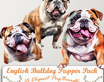 Vibrante Bulldog Clipart: 10 PNG, transparente, uso y descarga instantáneos.