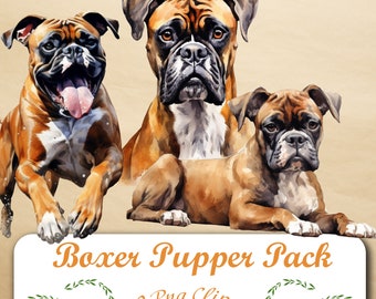 Explore nuestra vibrante colección de imágenes prediseñadas de Boxer: 10 PNG, fondo transparente, acceso de descarga instantánea para mejorar sus creaciones.