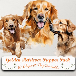 Entdecken Sie unser fesselndes Golden Retriever Clipart-Set: 10 PNGs, transparenter Hintergrund, sofortiger Download-Zugriff, um Ihre Kreationen zu bereichern!
