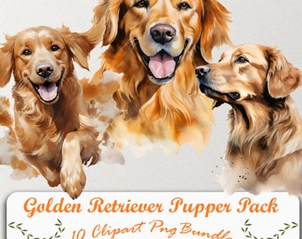 Explore nuestro cautivador conjunto de imágenes prediseñadas de Golden Retriever: 10 PNG, fondo transparente, acceso de descarga instantánea para enriquecer sus creaciones.