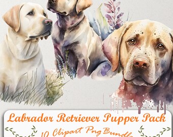 Explore nuestro cautivador conjunto de imágenes prediseñadas de Labrador: 10 PNG, fondo transparente, acceso de descarga instantánea para mejorar sus creaciones.