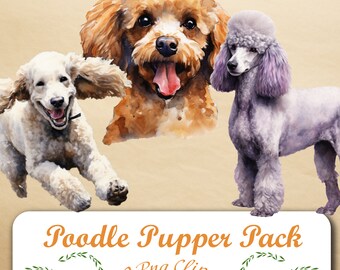 Descubra nuestro cautivador conjunto de imágenes prediseñadas de Poodle: 10 PNG, fondo transparente, acceso de descarga instantánea para mejorar sus creaciones.
