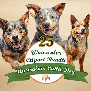 Australian Cattle Dog PNG, Blue Heeler PNG, 25 akwarelowych psów Clipart