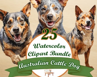 Perro de ganado australiano PNG, Blue Heeler PNG, 25 imágenes prediseñadas de perro de acuarela