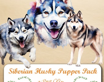 Explore nuestro encantador conjunto de imágenes prediseñadas de Husky: 10 PNG, fondo transparente, acceso de descarga instantánea para mejorar sus creaciones.