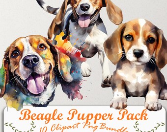 Atractivo conjunto de imágenes prediseñadas de Beagle: 10 PNG, fondo transparente, acceso de descarga instantánea para sus creaciones.