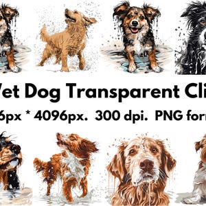 Può includere: Un set di 16 immagini clipart digitali che mostrano cani bagnati di diverse razze. I cani sono raffigurati in uno stile cartone animato con gocce d'acqua intorno a loro. Le immagini sono in formato PNG e hanno una dimensione di 4096 pixel per 4096 pixel.