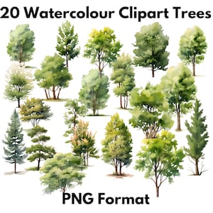 20 Watercolour Clipart Trees - PNG Format