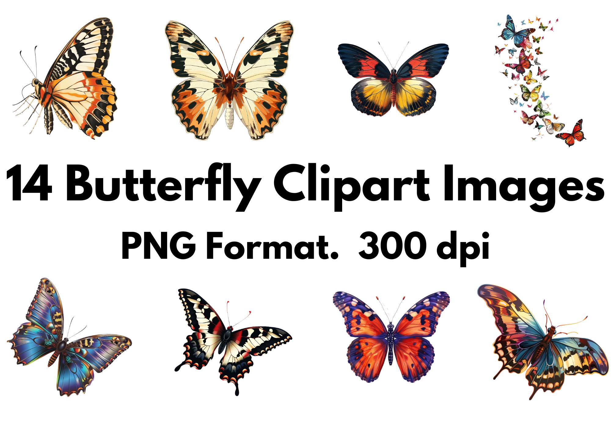 14 Imagens de clipart de borboletas - formato PNG