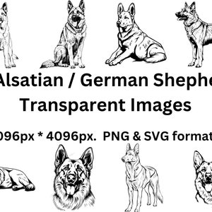 May include: A set of 15 black and white line drawings of Alsatian or German Shepherd dogs in various poses. The images are 4096 pixels by 4096 pixels and are available in PNG and SVG formats.
