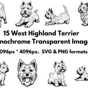 15 immagini monocromatiche trasparenti di West Highland Terrier Westie Dog - Formati PNG e SVG
