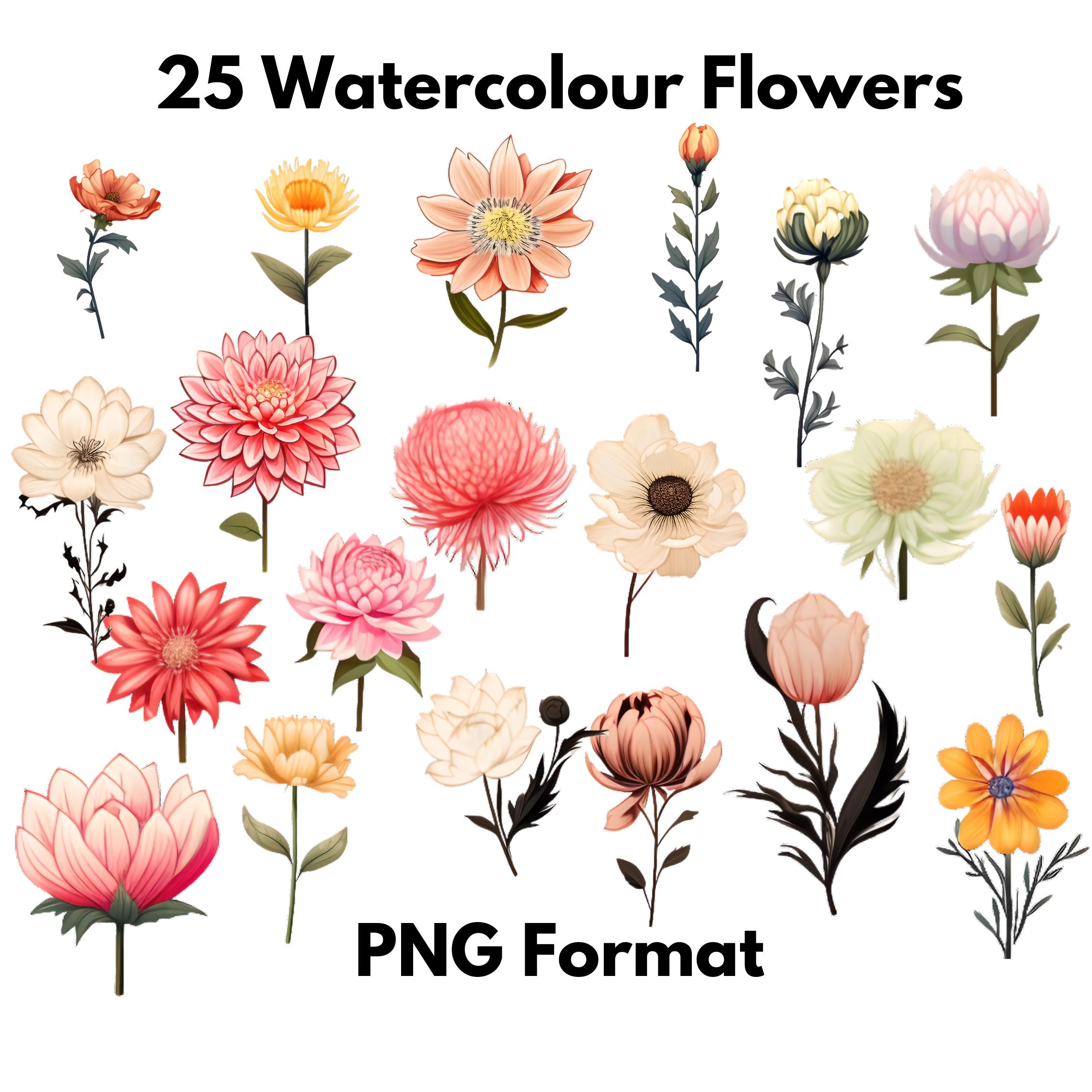 20 Watercolour Clipart Flowers - PNG Format