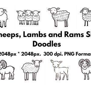 May include: A set of 18 black and white line drawings of sheep, lambs, and rams. The drawings are in a simple, cartoon style and are perfect for use in crafts, scrapbooking, or digital design.
