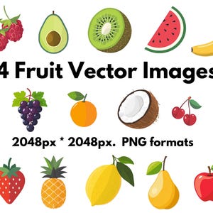 14 images clipart vectorielles de fruits - Format PNG