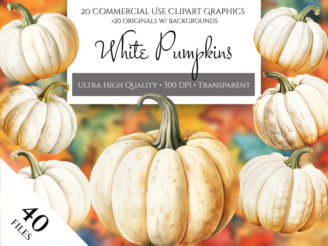 Watercolor White Pumpkin Clipart: Autumn PNG Graphics (digital Download ...