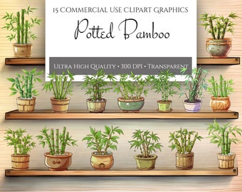 Potted Bamboo PNG Clipart Bundle, Digital bamboo graphics, instant download for commercial use