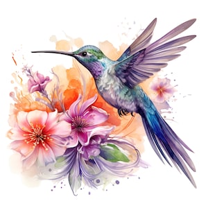 16 Hummingbird Clipart, Adorable Colibri, Printable Watercolor clipart, High Quality PNGs Digital download, Paper craft, junk journals