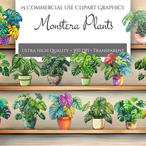 Potted Monstera PNG Clipart Bundle, Digital Monstera graphics, instant download for commercial use