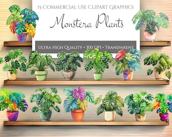 Paquete de imágenes prediseñadas PNG de Monstera en maceta, gráficos digitales de Monstera, descarga instantánea para uso comercial
