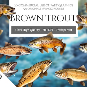 Pacote de clipart de truta marrom, uso comercial, PNGs transparentes, peixe de lago, peixe de água doce, peixe de rio, truta de lago, clipart de pesca, arte de parede