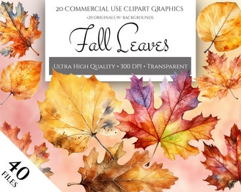 20 Watercolor Fall Leaves Clipart, Autumn Clipart, Fall PNG Clipart, Thanksgiving, Halloween, Yellow Red Leaf, Aspen, Birch, Oak, Maple