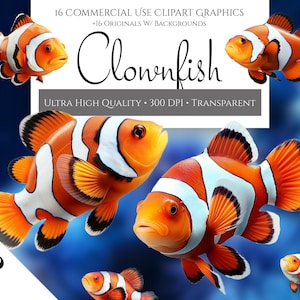 Clownfish Clipart Pack, Clownfish for Commercial Use, Transparent PNGs, Marine Life Clipart, Sea Life, Ocean Life, Sea Creatures, Fish