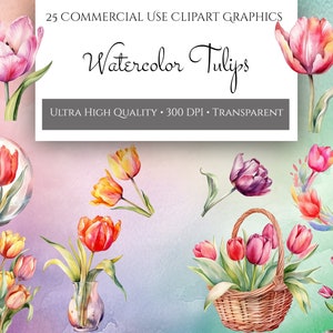 Tulpe Aquarell Clipart Bundle, bunte Blumenarrangement Sommer Design Grafik, digitale Blumen Clip Art für kommerzielle Nutzung