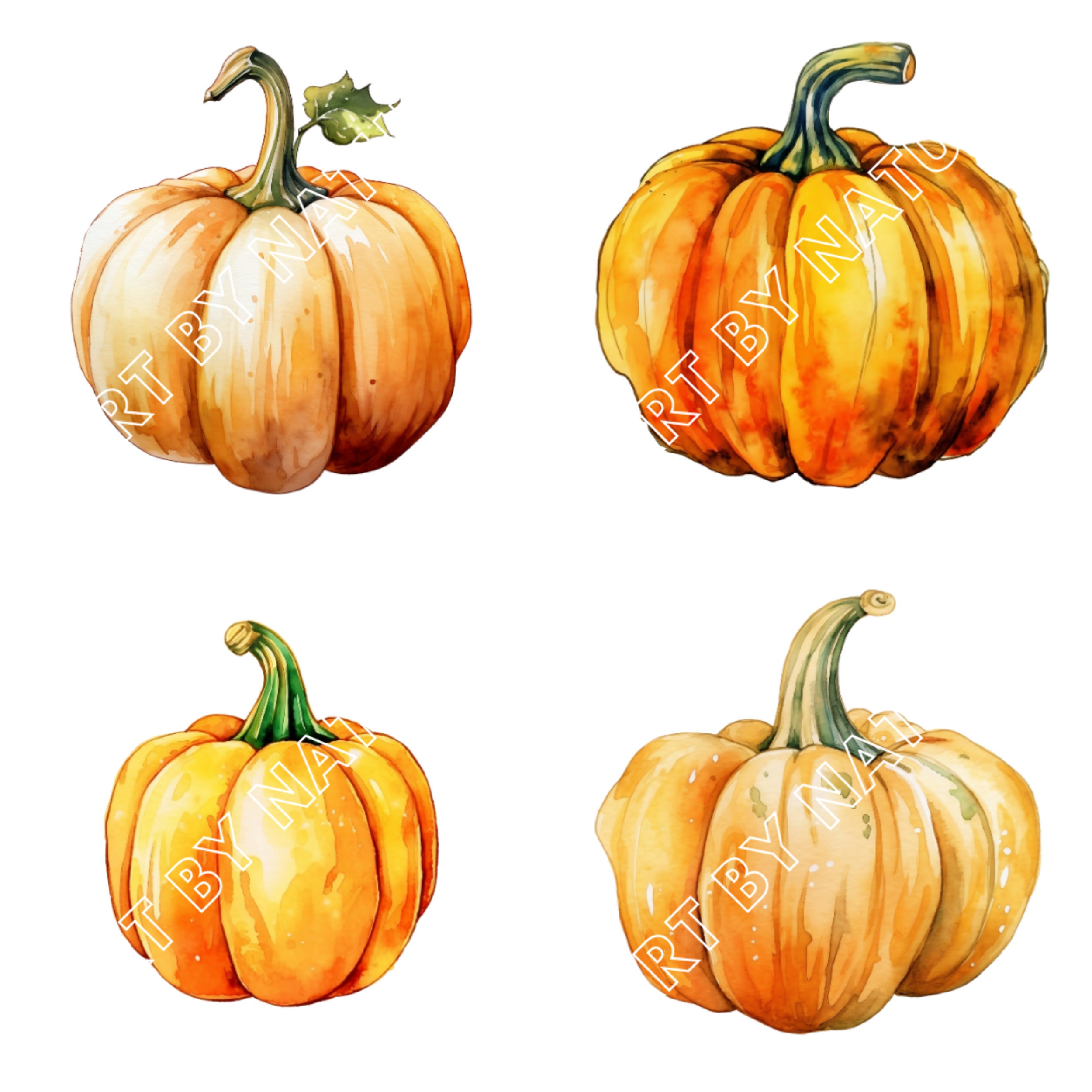 Watercolor Fall Pumpkin Clipart Pack, Autumn Watercolor in PNG Format ...