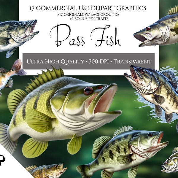 Bass Fish Clipart, Commercial Use Transparent PNGs Lake Fish Freshwater Fish River Fish Lake Bass Freshwater Bass Wall Art Father's Day Gift