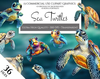 Sea Turtle Clipart Pack, Commercial Use, Transparent PNGs, Marine Life, Sea Creature, Ocean Animals, Sea Turtle Designs, Cute Turtles