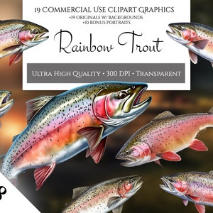 Pack de cliparts truite arc-en-ciel, usage commercial, PNG transparents, poisson de lac, poisson d'eau douce, poisson de rivière, touladi, clipart pêche, art mural