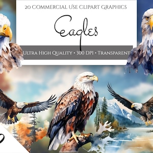 PNG Eagle Clipart Bundle