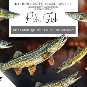 Pike Fish Clipart, Commercial Use Transparent PNGs Lake Fish Freshwater Fish River Fish Lake Pike Freshwater Pike Wall Art Father&#39;s Day Gift