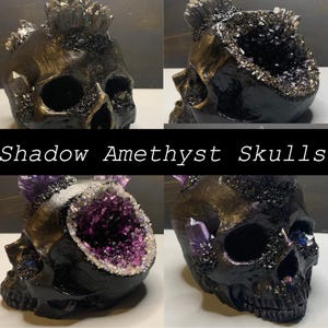 Peut inclure: Quatre sculptures de crânes noirs avec des cristaux d'améthyste incrustés dans la cavité crânienne. Les crânes sont peints en or et ont une finition scintillante.  Shadow Amethyst Skulls.