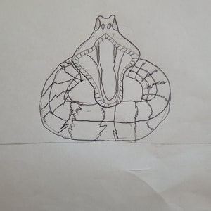Python Coloring Sheet - Etsy