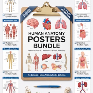 Human Anatomy Posters Bundle | Nursing Study Guide PDF | Anatomy & Physiology Notes | NCLEX Prep | Medical Student Resource