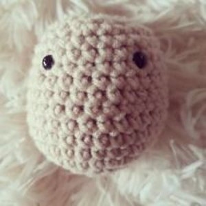 May include: A small, crocheted, cream-coloured amigurumi toy with black button eyes.