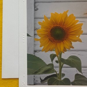 Four Photo Notecard Subscription - Encouragement in New Home, hand-lettered Bible Quotes - Set B