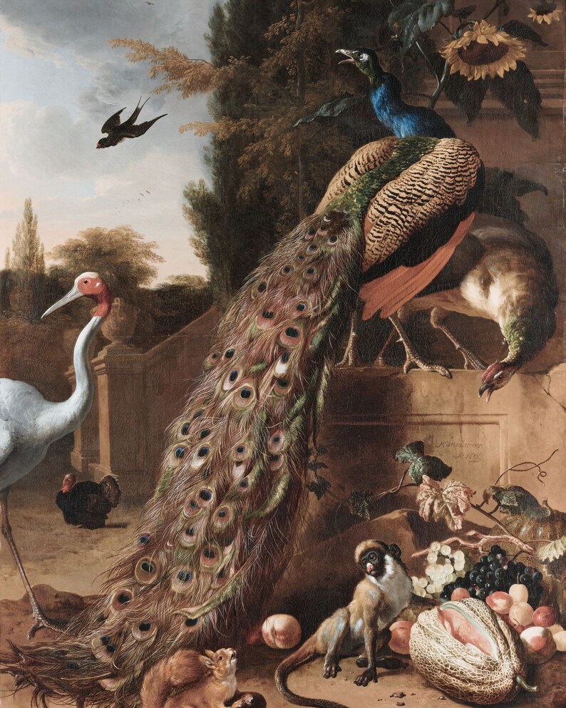 PRINTABLE Vintage Peacock Wall Art Printable Vintage Wall Etsy