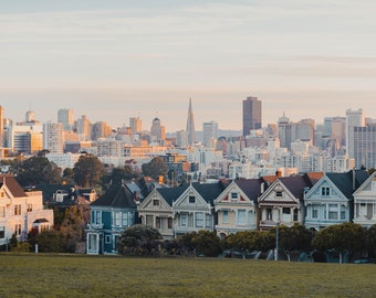 Painted Ladies with San Francisco Cityscape Background Wall Art Digital Print