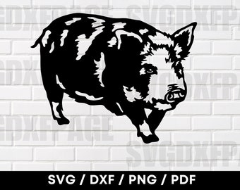 Kune Kune Schwein, DXF SVG PNG, Schweine-Svg, Schwein Png, Schweine-Svg, Schwein-Silhouette, Dxf-Dateien fürPlasma, Cnc-Design-Dateien, Kune Kune Schwein Clipart