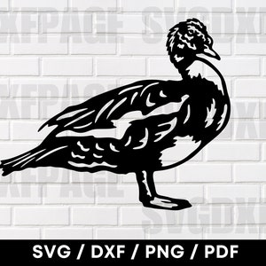 Muscovy Duck SVG DXF PNG, Muscovy Duck Svg, Duck Svg, Duck Png, Duck Silhouette, Duck Clipart, Duck Dxf, Duck Vector, Dxf Files For Plasma