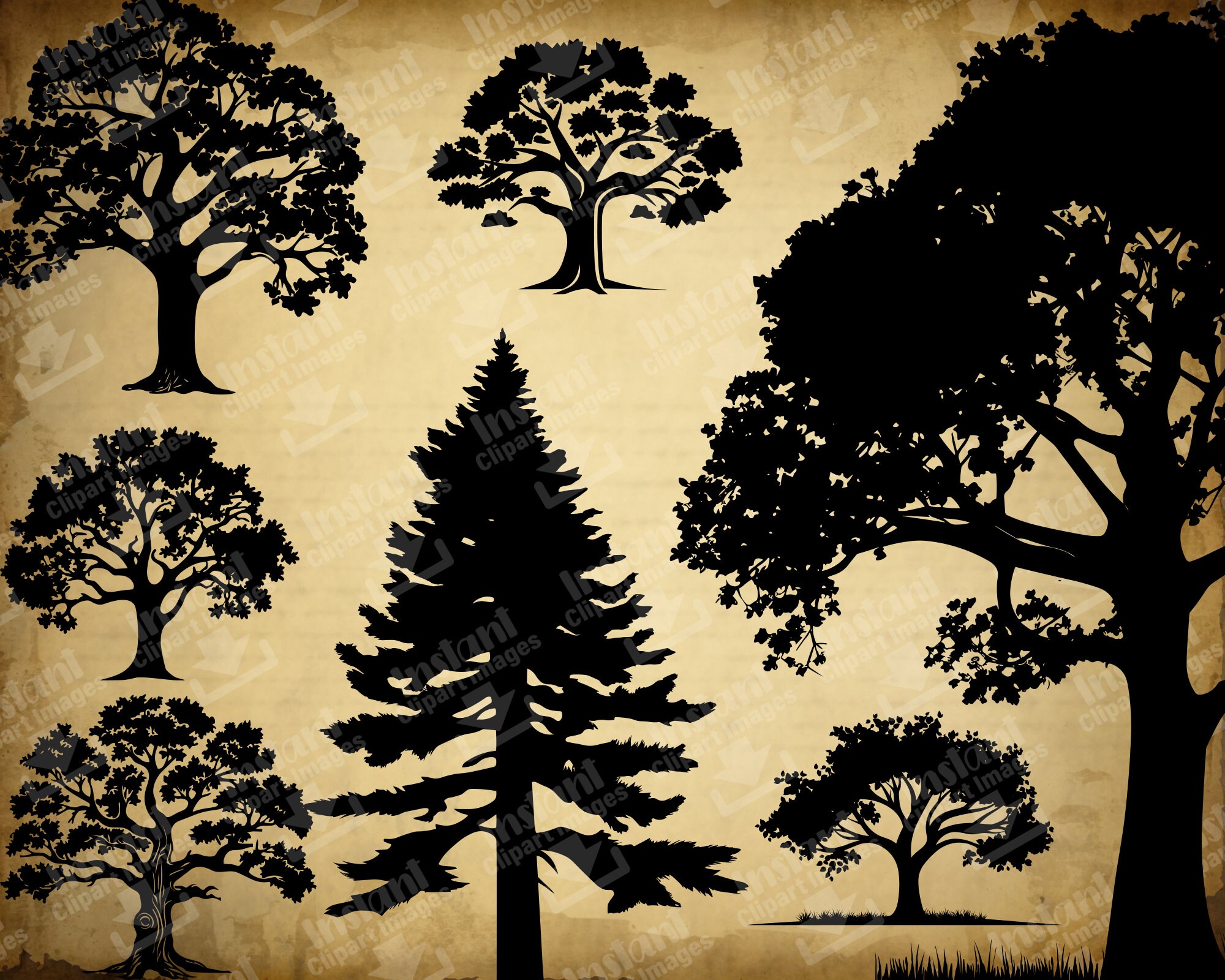 Tree SVG, Tree Silhouette SVG, Tree Cut Files, Tree Clipart Bundle ...