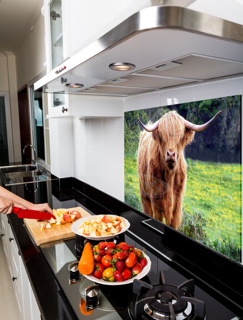 Highland Cow Tempered Glass Kitchen Backsplash Panel - Etsy