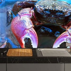 Tempered Glass  Backsplash Design-Cooker Wall Backsplash Panel-Glass Splashback For Kitchen Panel Design- Splashback