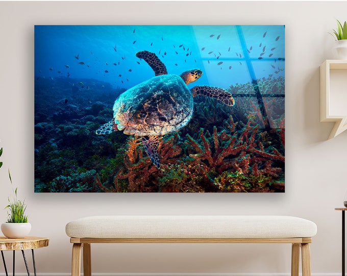 Tempered Glass Framed Wall Art--Wall Decor-Glass Printing-Glass Wall Art-Undersea Wall Art-Ocean Fish Wall Art-Aquarium Wall Art