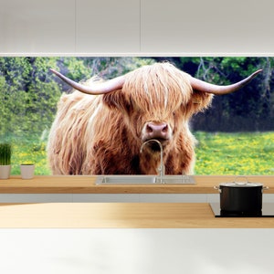 Tempered Glass Highland Cow Backsplash Design-Cooker Wall Backsplash Panel-Glass Splashback For Kitchen Panel Design-Scottish Cow Splashback