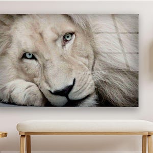 White Lion Wall Art – Majestic Albino Lion Portrait on Tempered Glass for Elegant, Minimalist, and Empowering Home or Office Decor