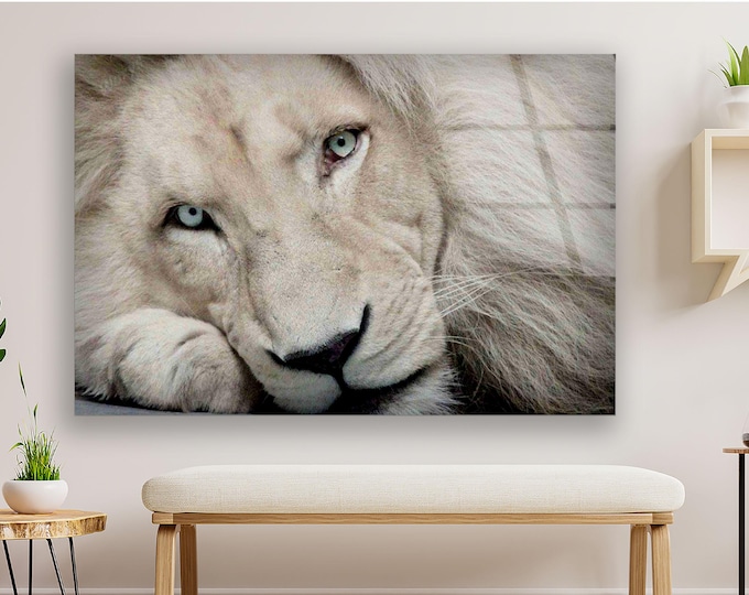 White Lion Wall Art – Majestic Albino Lion Portrait on Tempered Glass for Elegant, Minimalist, and Empowering Home or Office Decor